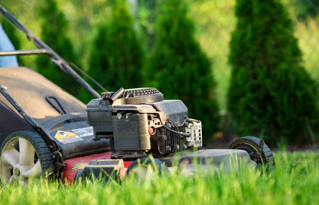 lawn-mowing-services-york